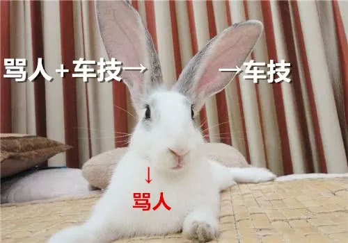 賣竹鼠是什么梗,