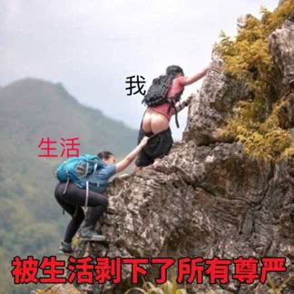 賣竹鼠是什么梗,