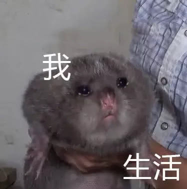 賣竹鼠是什么梗,
