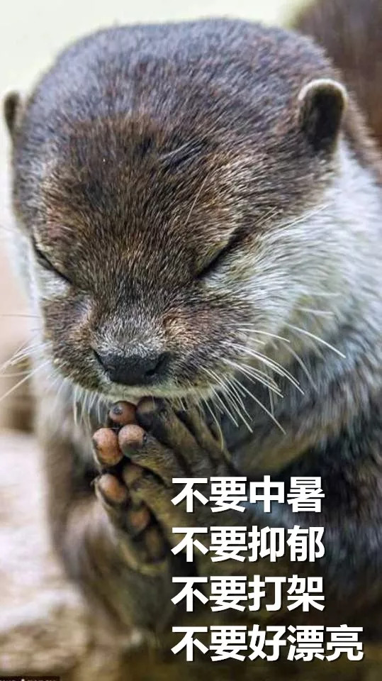 賣竹鼠是什么梗,
