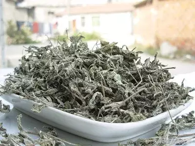 最近超级火的张家界神仙茶,到底有多神?