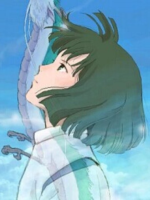 现代经营耽美文推荐：我开动物园的那些年，内有萌萌哒动物！