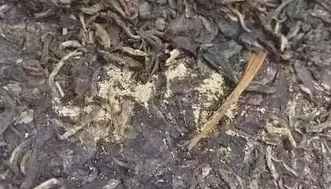 喝茶的八大禁忌
