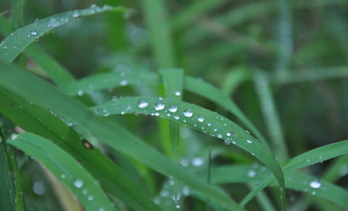 优美句子赏析：描写秋雨的好词好句好段 值得收藏