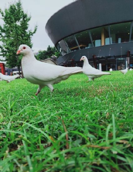 定居成都40条最全生活指南（收藏）