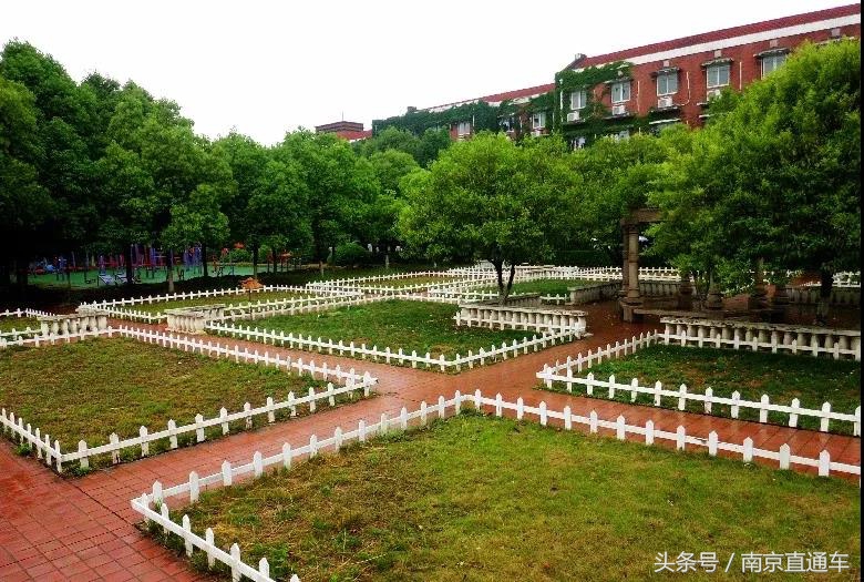 南京十大网红高校食堂，有你的学校吗？