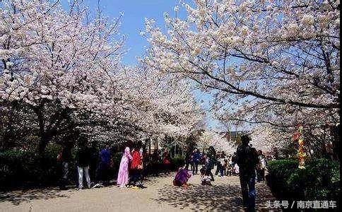 南京十大网红高校食堂，有你的学校吗？