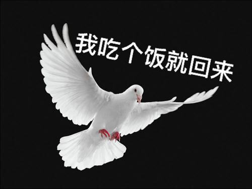 飞鸽传书是什么行为飞鸽传书怎么使用