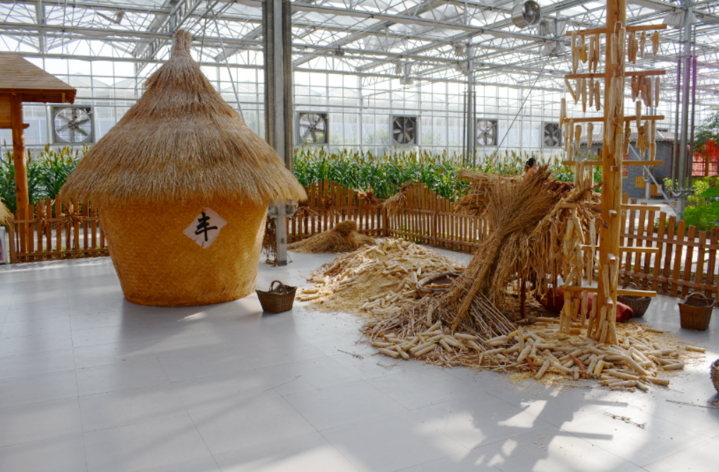 感受创意农业的魅力盛满谷物的巨型粮仓,还