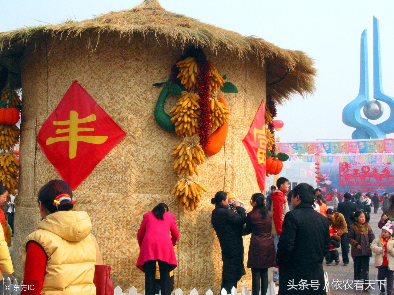 庆丰收识“稻、黍、稷、麦、菽”，莫要“四勤不通，五谷不分”