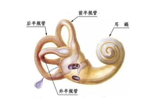 如何帮助孩子锻炼前庭觉？