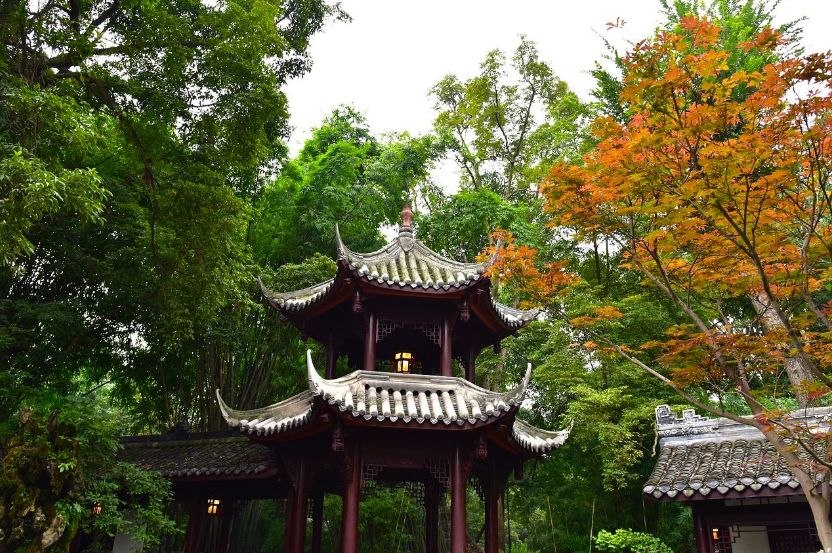 定居成都40条最全生活指南（收藏）