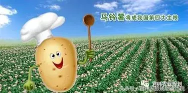 手把手教你申请农业项目，最高补贴可达2千万