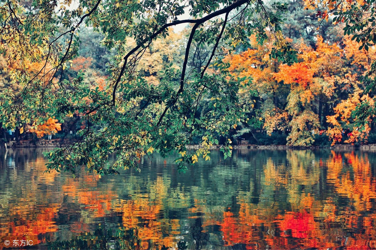 2020-2021南京大学世界史考研参考书、招生目录、经验复试