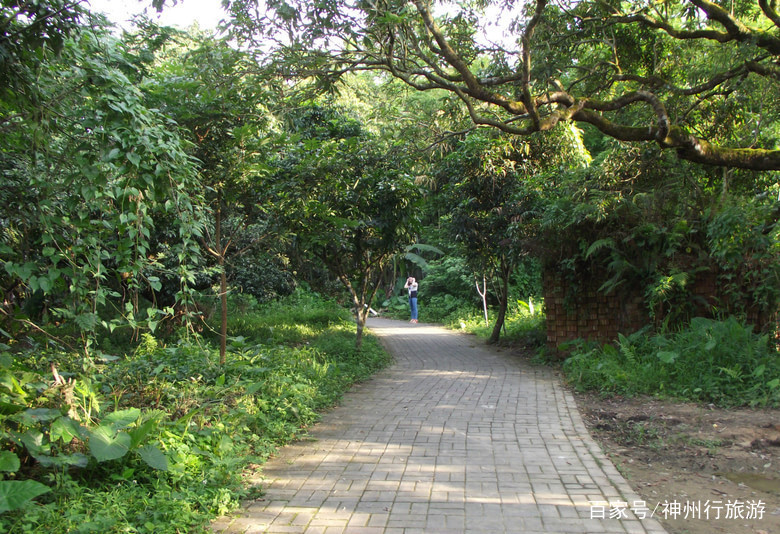 去廣州白水寨森林公園,住哪裡方便?兩天吃喝住行,安排充實