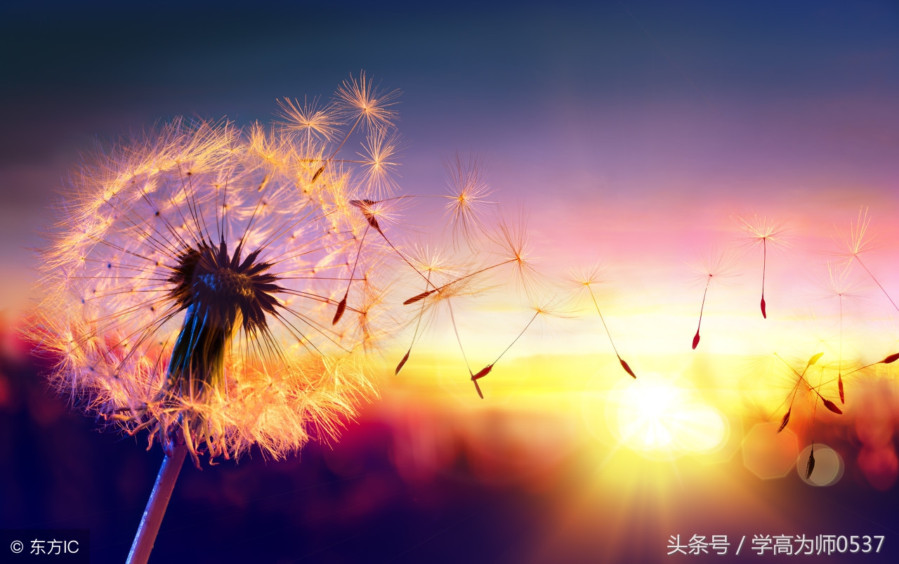 高级中学课文素材名言 高级中学课文素材名言警语 乐到家网