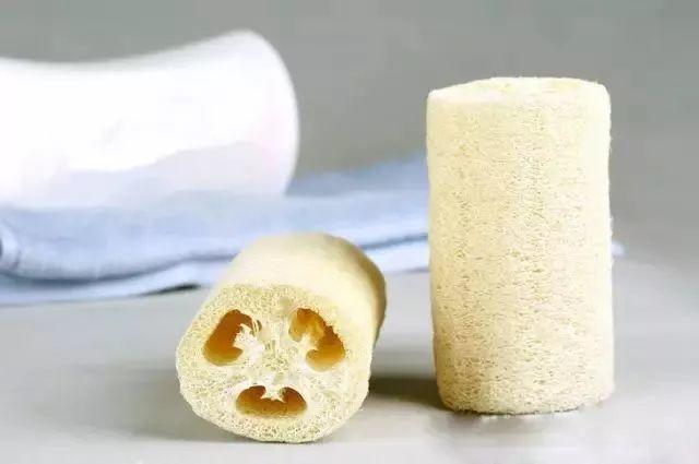 丝瓜瓤的作用与功效(丝瓜瓤都是宝六个妙用要知道)