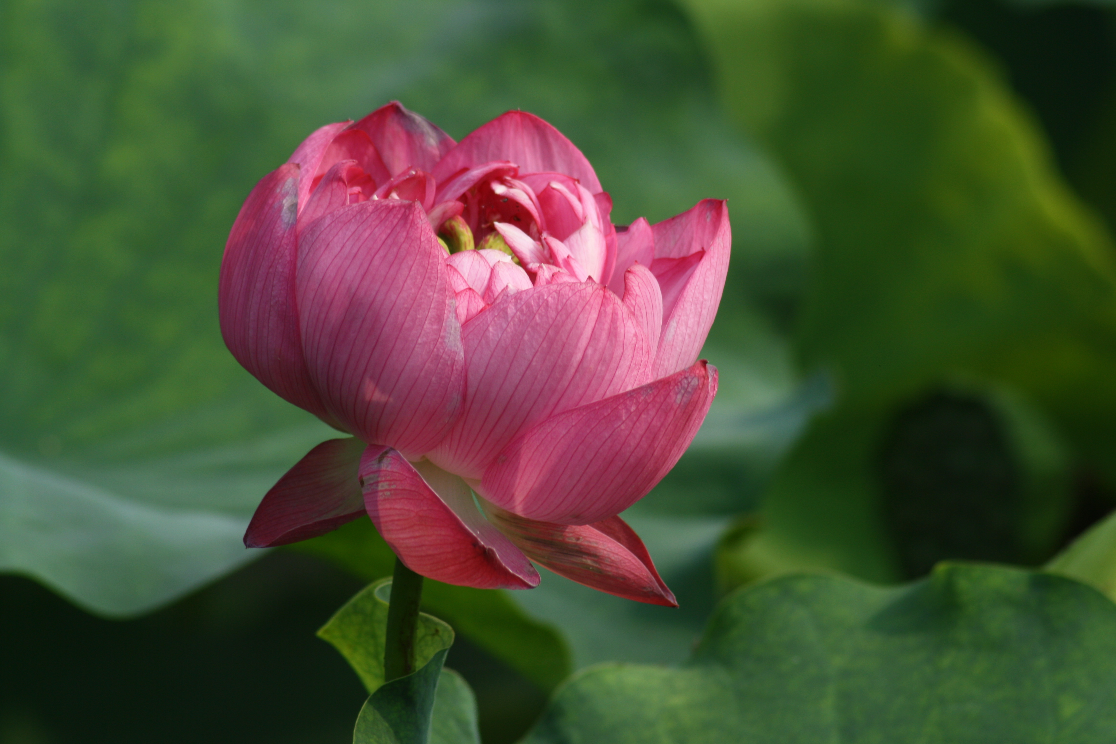 高明的领导是怎样对付工作中的刺头的？以下两招，基本解决！厉害