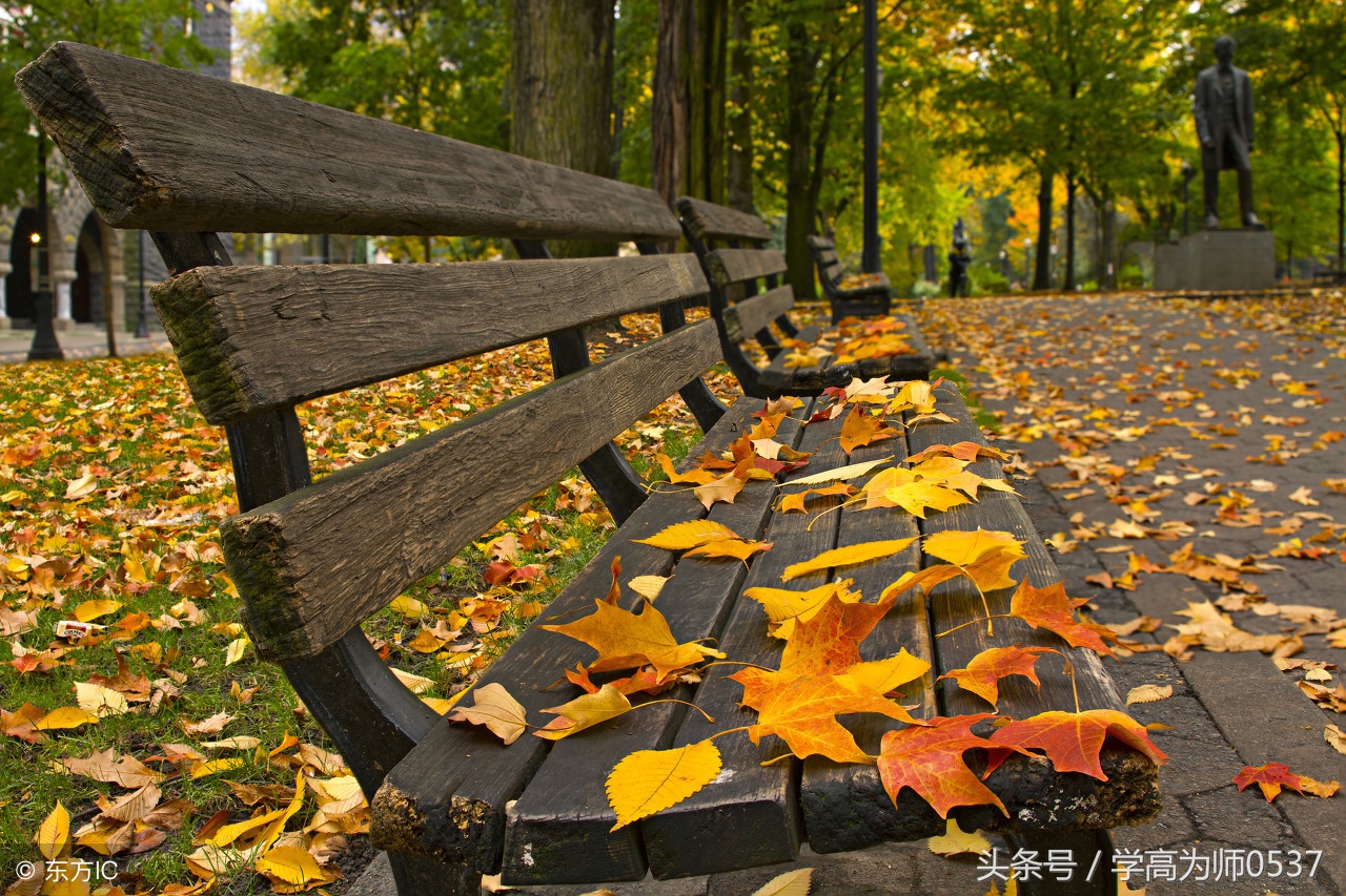 形容秋天的词语有哪些(这些描写秋日美景的词语)(1)