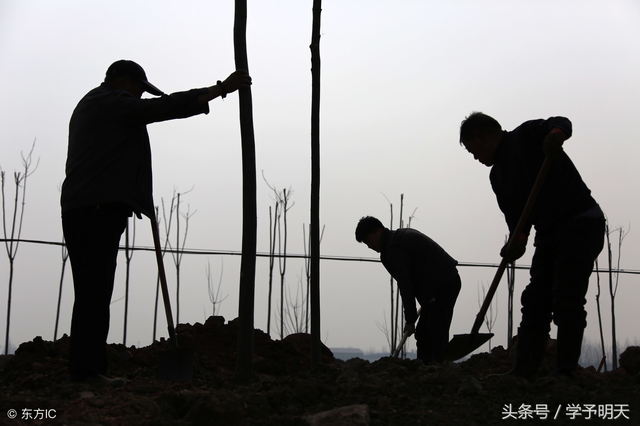 大语文学习：有关劳动的名人名言