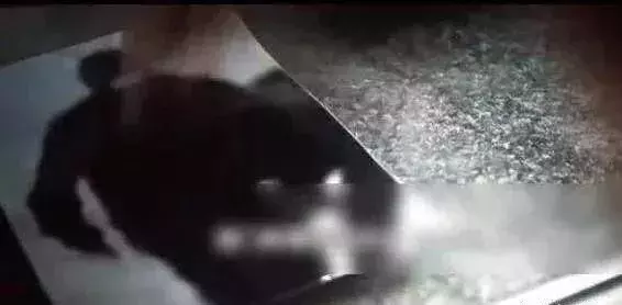 《无双》中所有发哥的彩蛋,我都给你找齐了