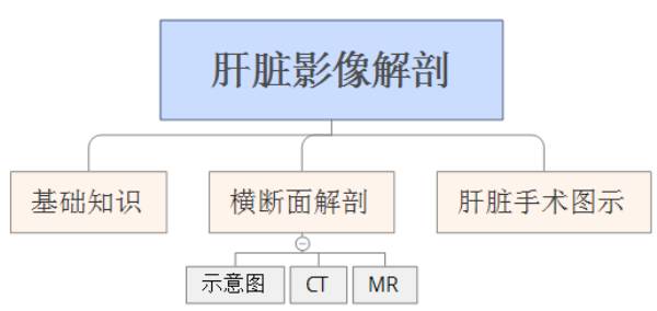 肝脏图片位置示意图(这份肝脏解剖图解，不收藏就亏了！)