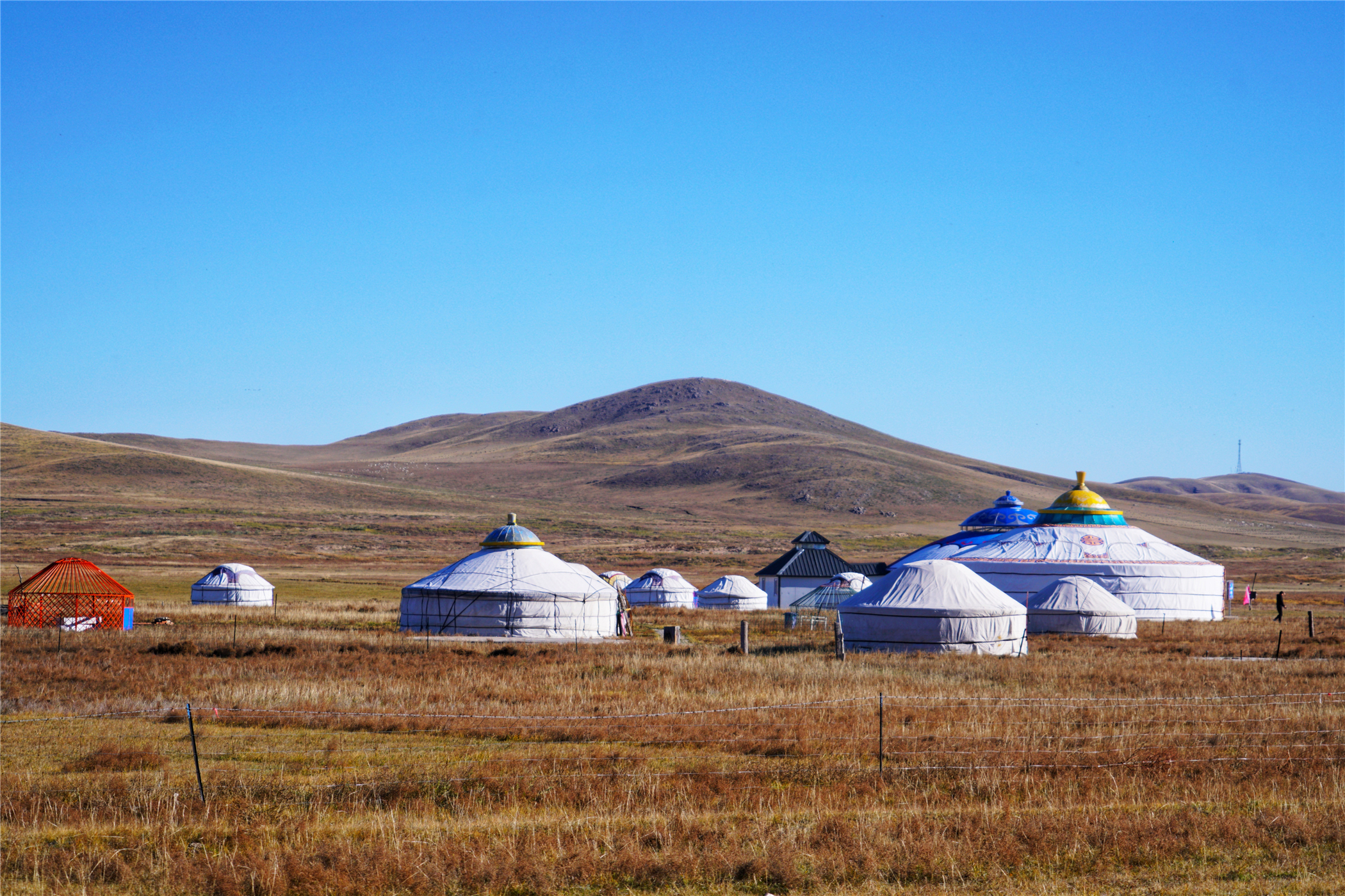 关于蒙古族的美文