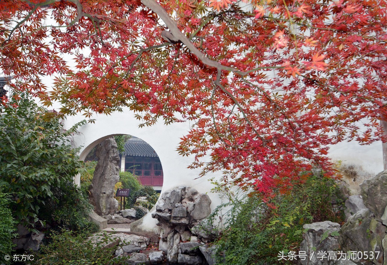 人教版五年级语文上册第三单元知识要点归纳