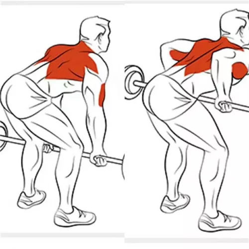 8個經典的背部訓練動作，不論你胸大胸小都要練！