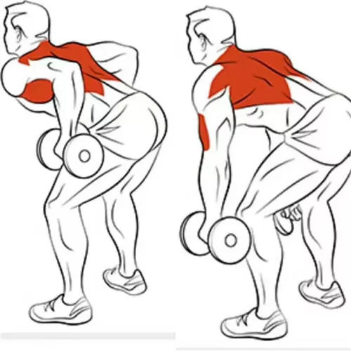 8個經典的背部訓練動作，不論你胸大胸小都要練！