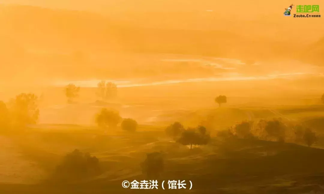媲美呼伦贝尔草原!没有拥挤的小众之地,现在已经美成了油画!