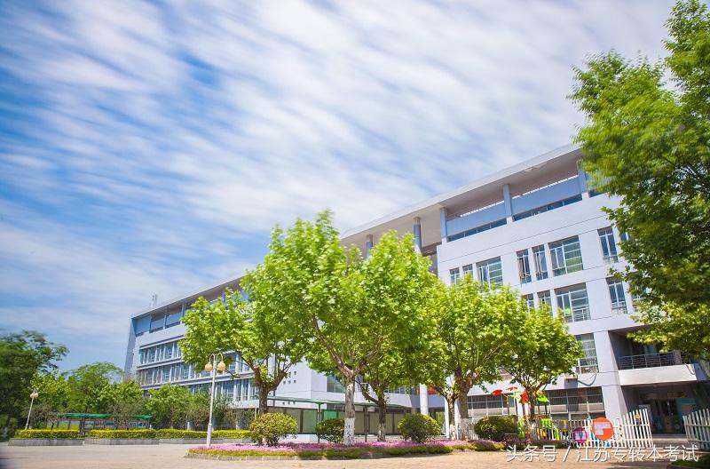 江苏专转本：南京审计大学金审学院