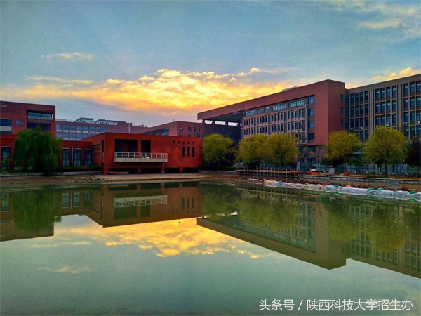 《陕西省教育厅》点赞！这所高校毕业生就业质量、就业率不断提升！