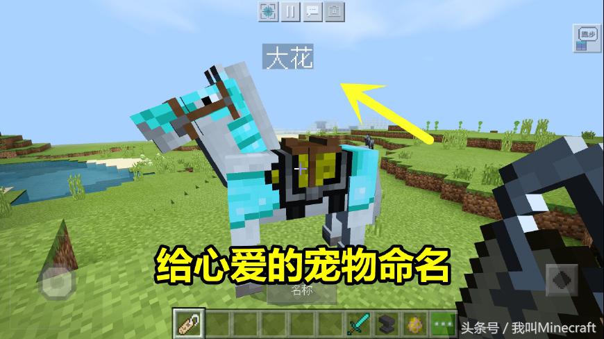 我的世界：命名牌5大独特用法，还有4个彩蛋！彩色名字你会做么？