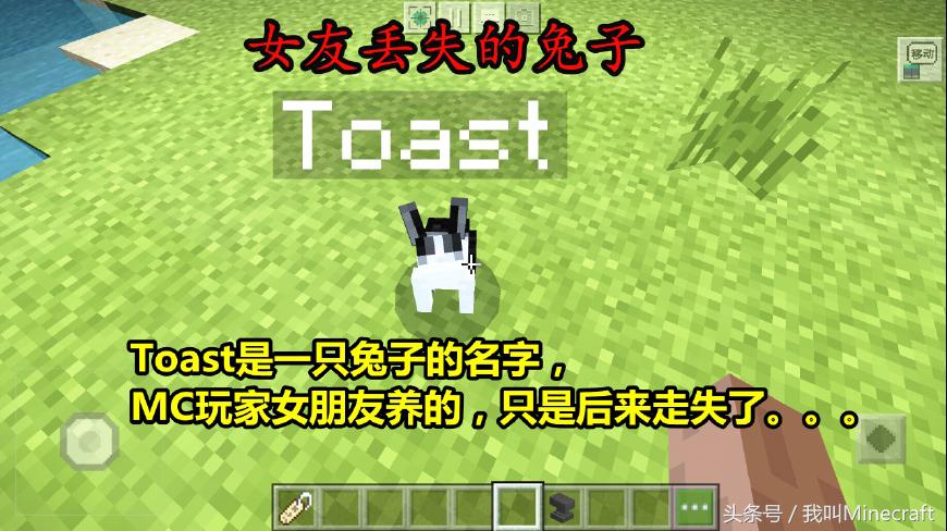 我的世界：命名牌5大独特用法，还有4个彩蛋！彩色名字你会做么？