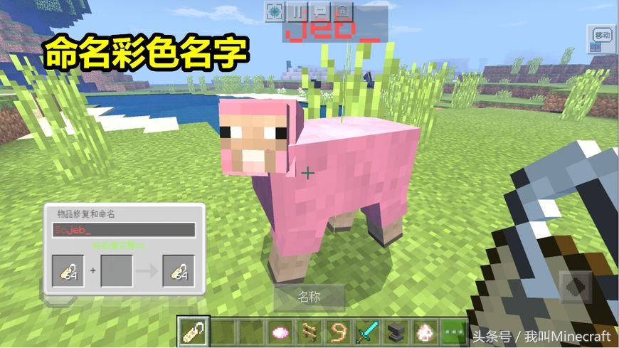 我的世界：命名牌5大独特用法，还有4个彩蛋！彩色名字你会做么？