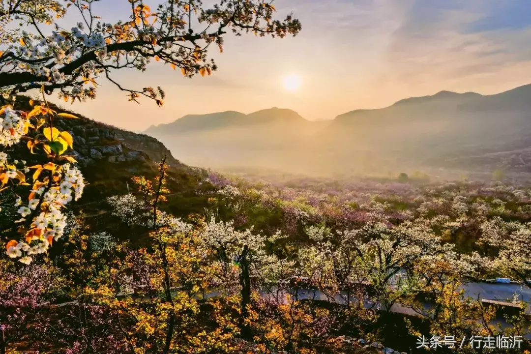 临沂家门口的这18处绝美山间景区，你打完卡了吗？