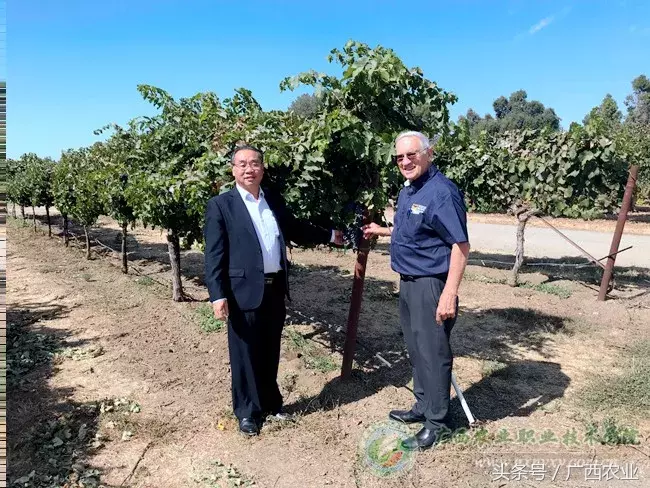 广西农业职业技术学院院长杨昌鹏率团赴美国农业院校交流访问
