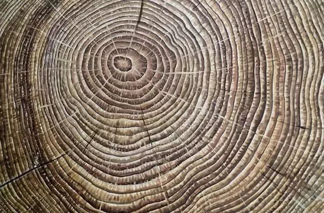 为了避邪，杀人犯在被害者脑子里种了一棵桃树