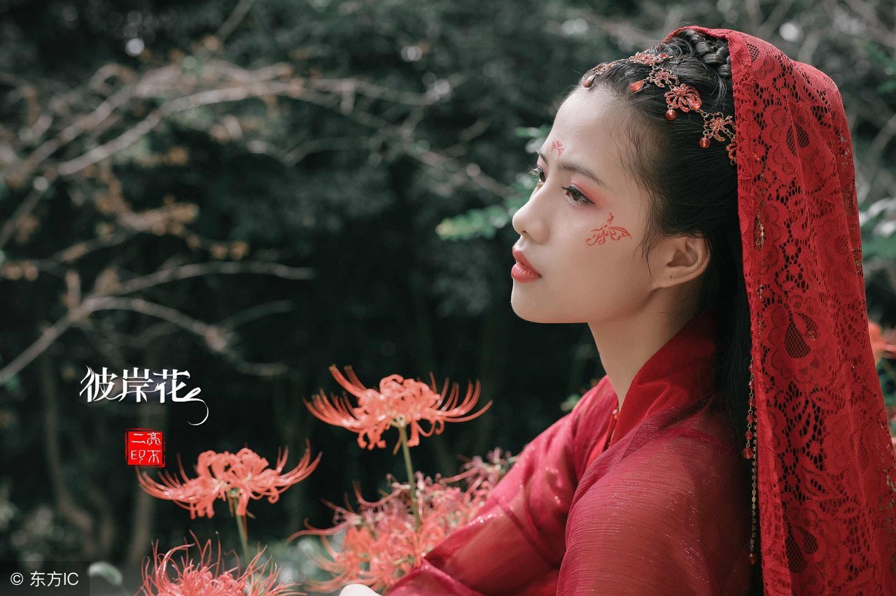 散文|彼岸花