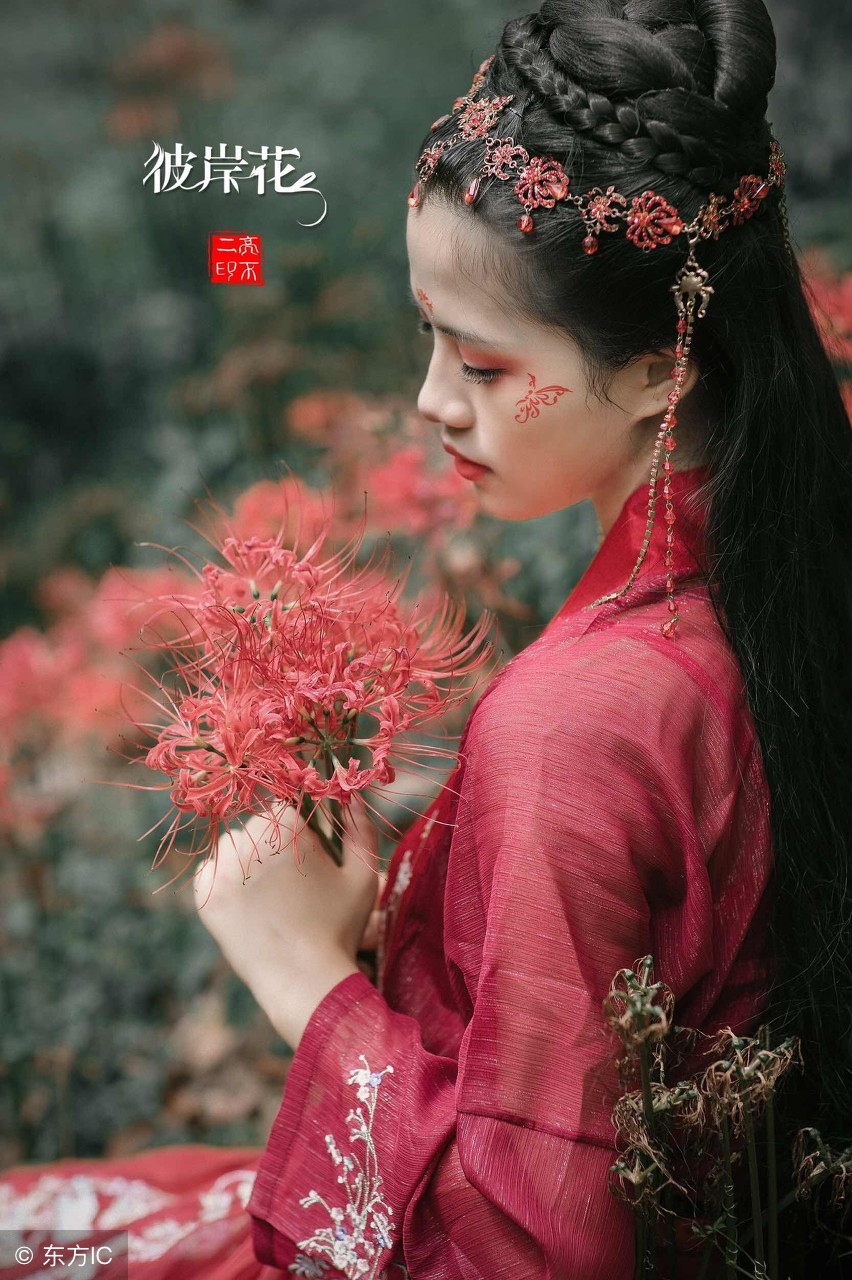 关于彼岸花的伤感散文 _晶羽科技