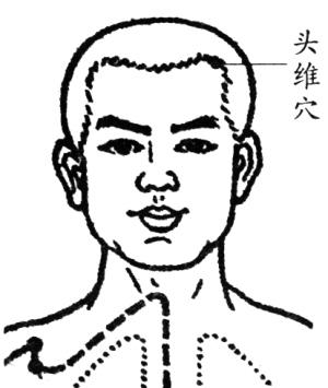 头维的准确位置图片(穴位就是中药) - 赤虎壹号