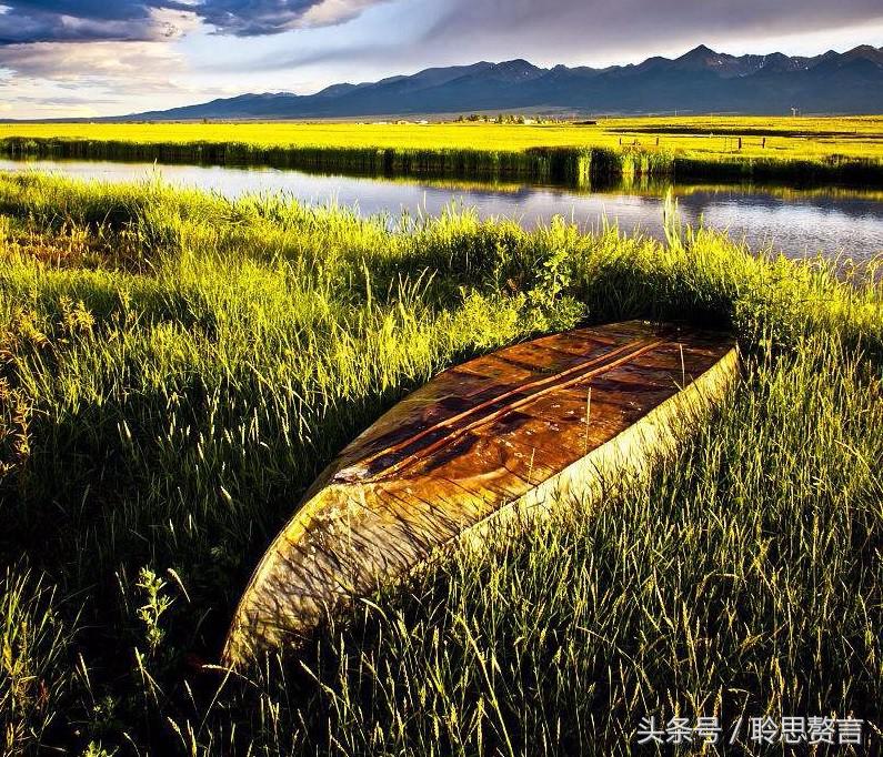 历代咏草诗词精选二十四首 恨如芳草，萋萋无数，凭栏总是销魂处