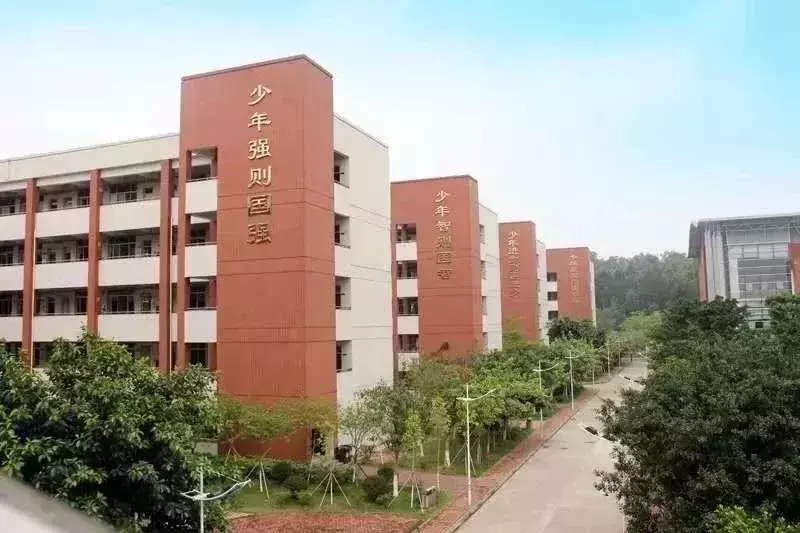 “广附系”大揭秘！高中部将有4所学校进行招生，重本率92.36%