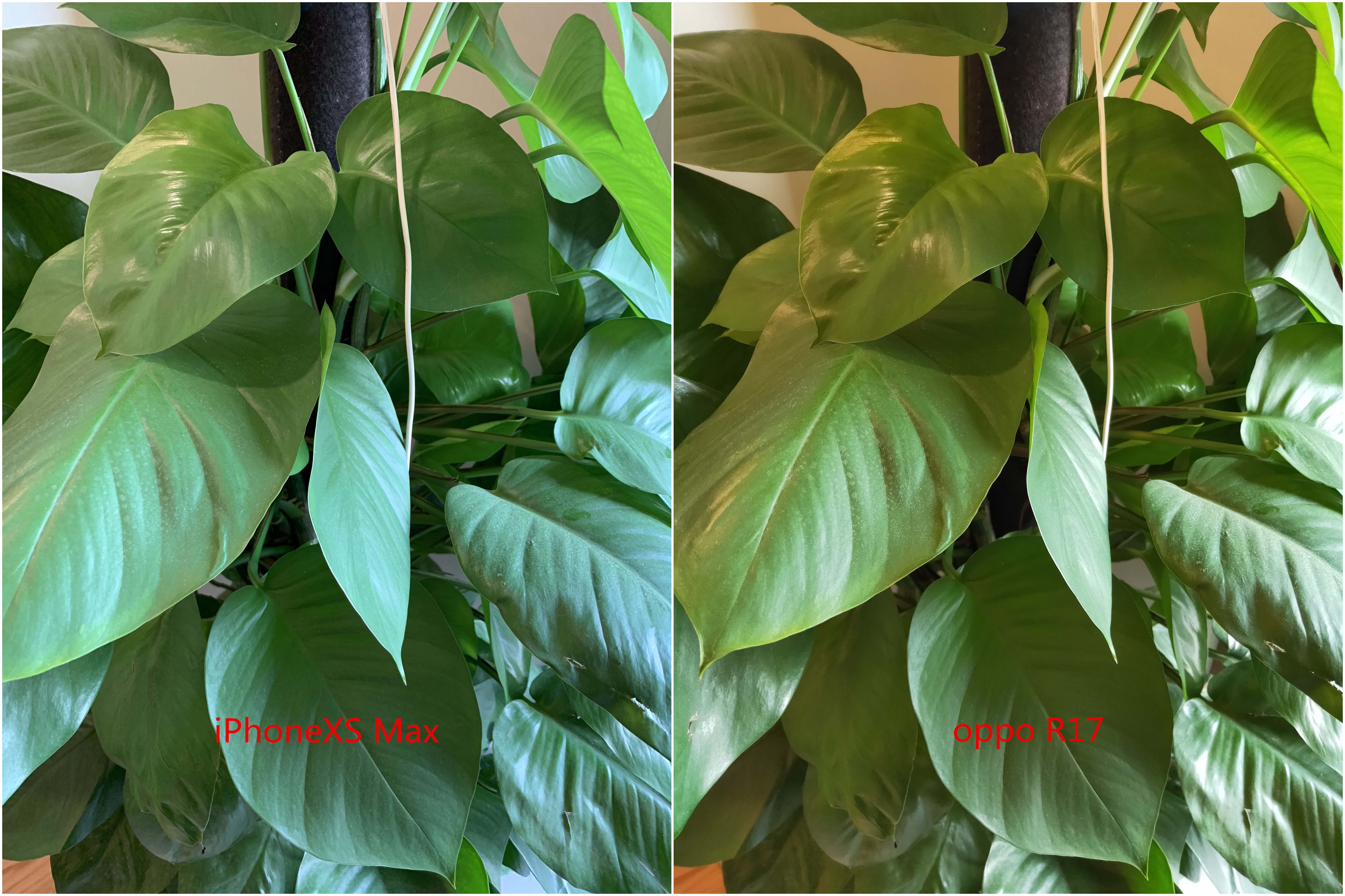 高颜值水滴屏手机——oppo r17体验评测