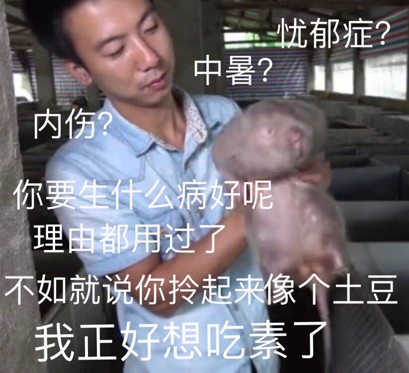 华农兄弟的竹鼠生存攻略