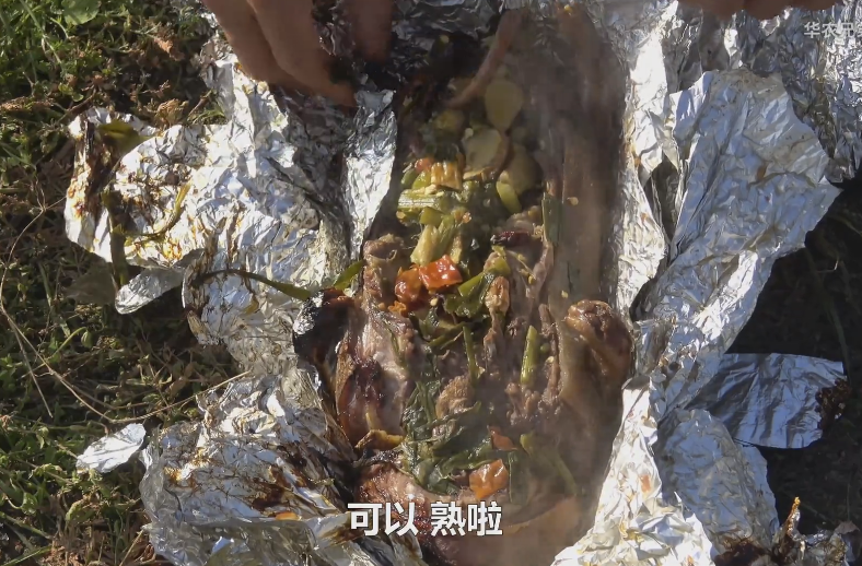 华农兄弟的竹鼠生存攻略