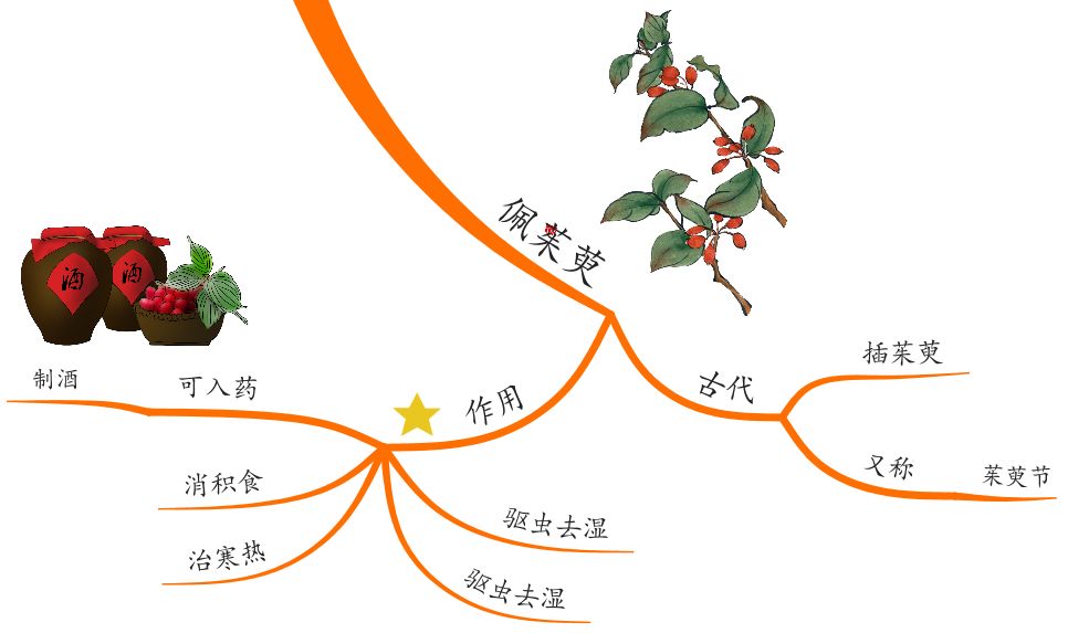 思维导图|不可不知的重阳习俗!