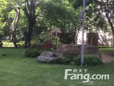买了低于市场价11万龙华房,5年后你绝不后悔住龙华!