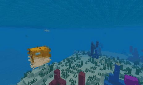 我的世界海洋版本：海豚竟然可以带玩家找宝藏？大部分玩家不知道